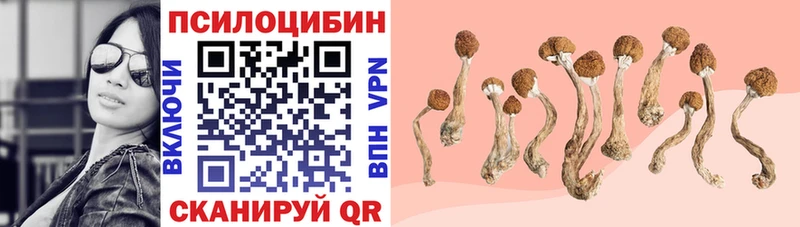 закладки  Тогучин  Галлюциногенные грибы прущие грибы 